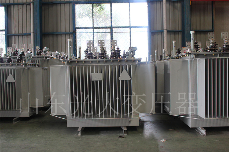 新城S20-500KVA/10KV